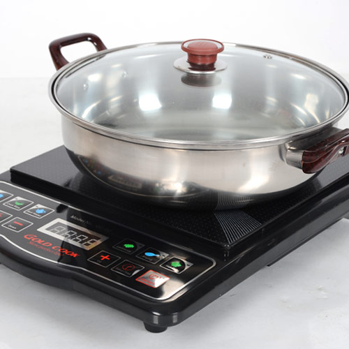 Bếp từ Goldcook GC 02